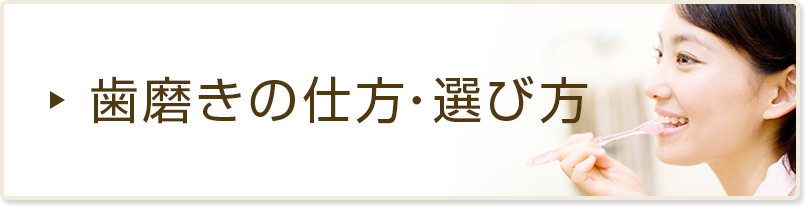 歯磨きの仕方・選び方